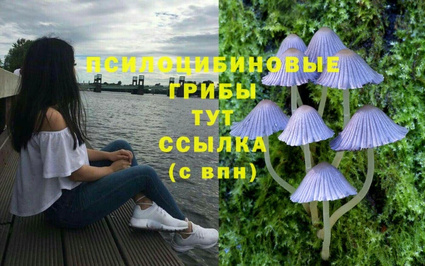 мескалин Нягань