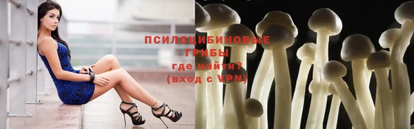 мдпв Нязепетровск